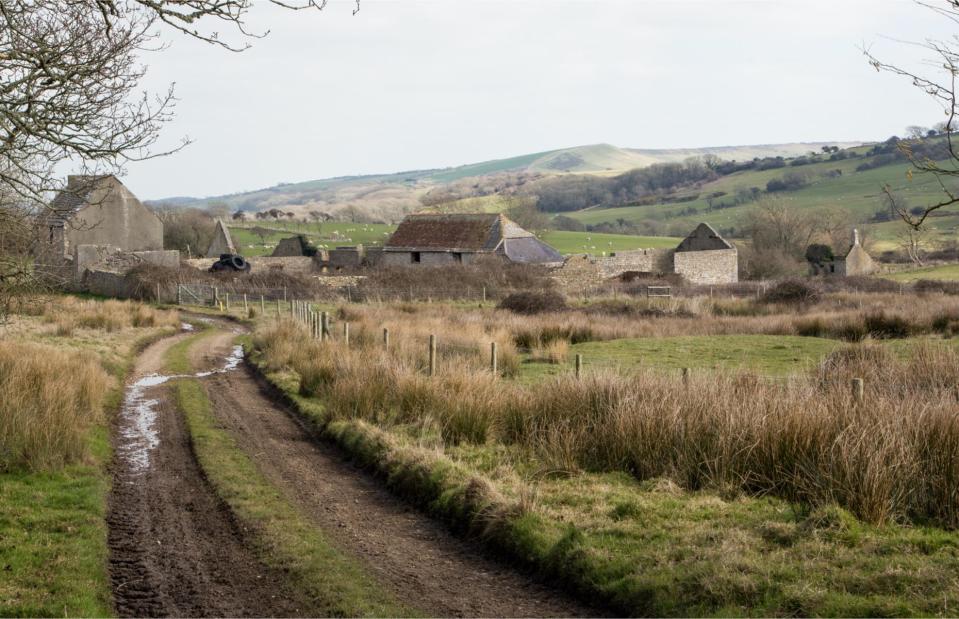 Tyneham. (Bild: Casper Farrell/Shutterstock)