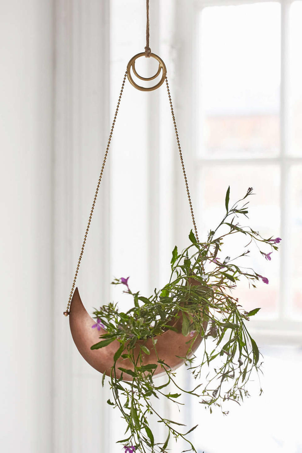 Crescent Hanging Planter, $24 at <a href="http://www.urbanoutfitters.com/urban/catalog/productdetail.jsp?id=35697515&amp;category=A_FURN_PRETTY" target="_blank">Urban Outfitters</a>