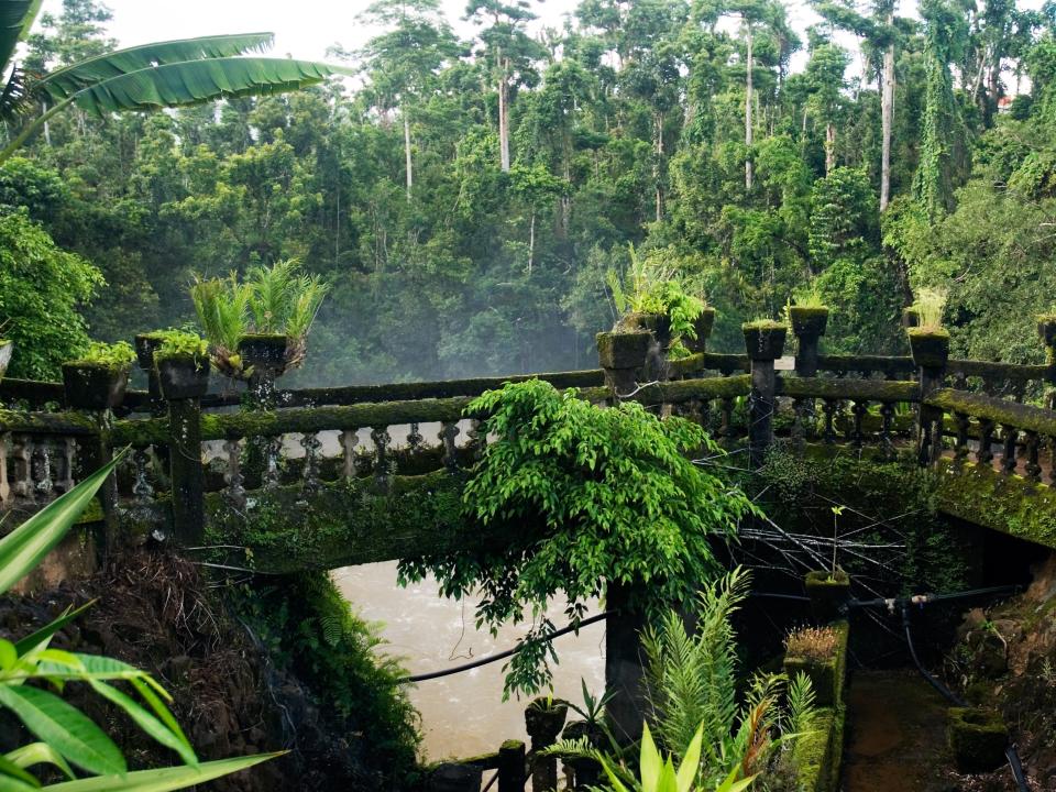 A general view of Paronella Park.