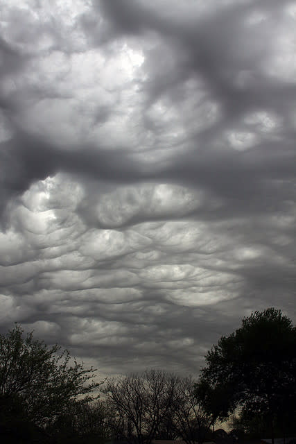 <a href="http://www.flickr.com/photos/carenmack/3385465805/" rel="nofollow noopener" target="_blank" data-ylk="slk:Mammatus Clouds over DFW Airport;elm:context_link;itc:0;sec:content-canvas" class="link ">Mammatus Clouds over DFW Airport</a>. I was rushing to clear a flowerbed with an impending line of storms coming in and looked up and saw these Mammatus Clouds. I ran in, washed my hands, grabbed my camera and started shooting. They got more dramatic as time went on. I decided to do something new and sent them into the local TV station, WFAA in Dallas. There already were a huge amount of similar pics and almost didn’t send one in. I couldn’t believe while watching the 5:00pm news, my photo was the 1st of 3 on the 5:00 news. Cool! This photo was taken on March 25, 2009 using a Canon EOS 50D.