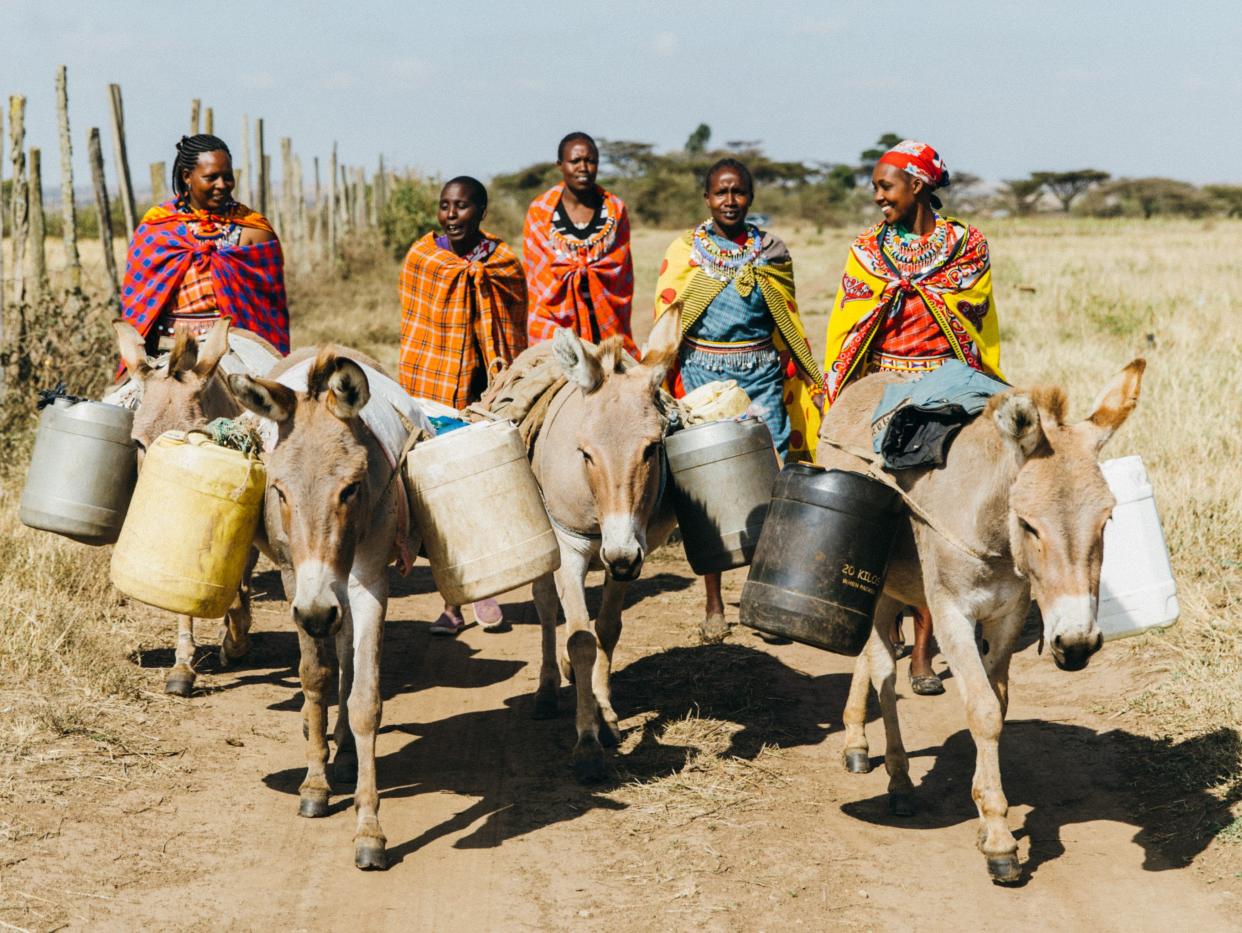 Women in Kenya walking with donkeys to fetch water  (F Dowson)