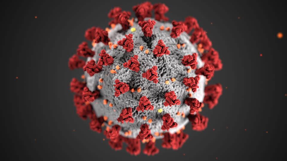 This illustration, created by the Centers for Disease Control and Prevention, depicts the spiked structure of the virus that causes Covid-19 - CDC