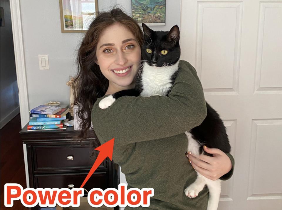 Paige Difiore wearing olive green holding her cat, Luca, with "power color" written on top and pointing to her top