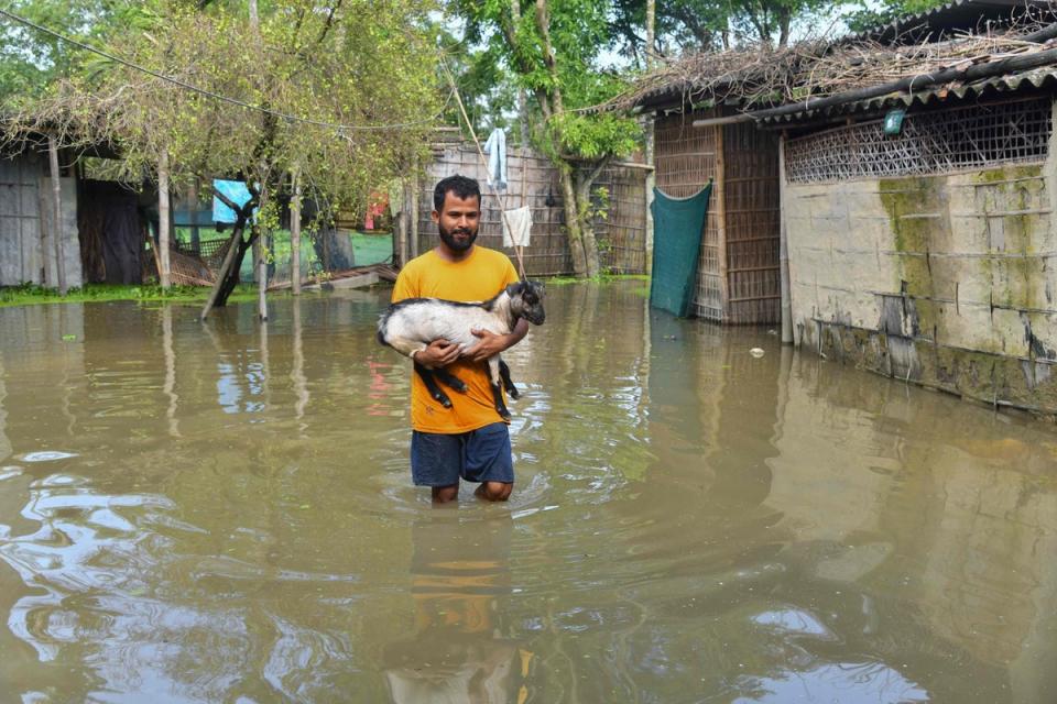 A man carries his livestock as he wades through flood water in Rangia, in India's Assam state (AFP via Getty Images)