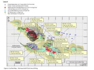 Surface Map – Monique Gold Trend new drilling