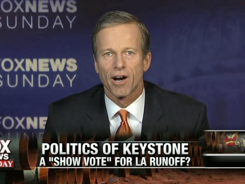 John Thune Fox News