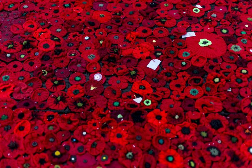 Petal, Flower, Red, Colorfulness, Poppy, Pattern, Flowering plant, Coquelicot, Carmine, Art, 