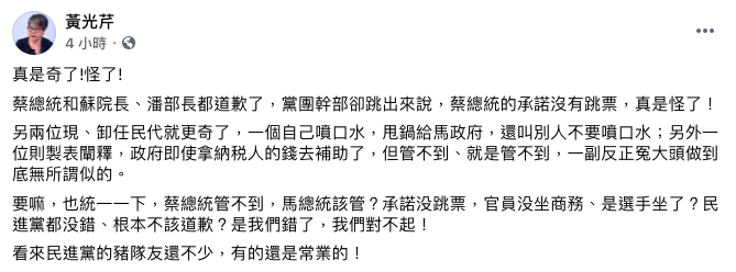 黃光芹在臉書開轟，批民進黨豬隊友一堆。   圖：翻攝自黃光芹臉書