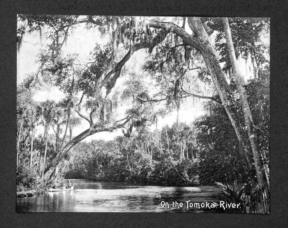 A group canoeing on the Tomoka River.