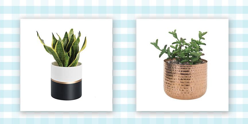 We Found the Cutest Planters and Flower Pots (All Under $25!) at Amazon and Walmart