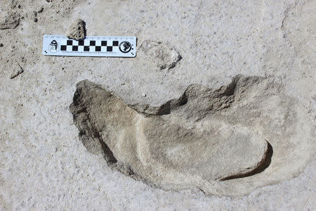 A Human footprint inside a sloth track, which appears to show that humans stalked the sloth, can be seen at White Sands National Monument in New Mexico. Supplied by Bournemouth University, Britain, April 25, 2018. Matthew Bennett/Bournemouth University/Handout via REUTERS