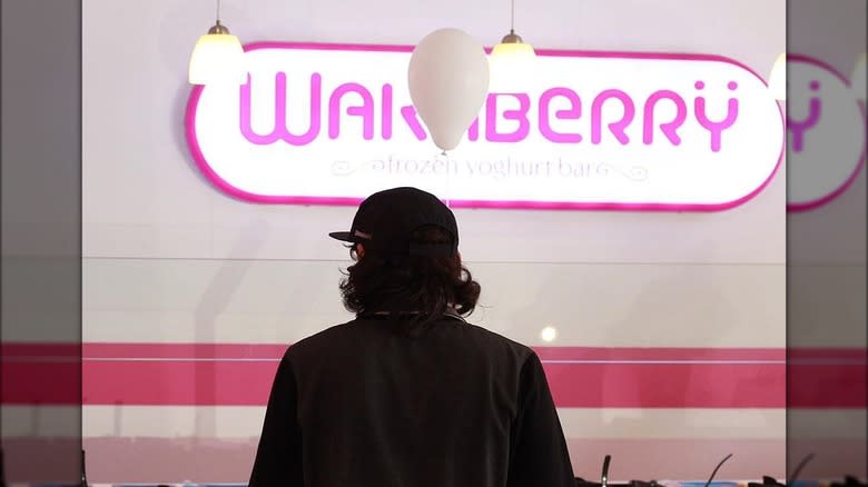Wakaberry frozen yoghurt bar