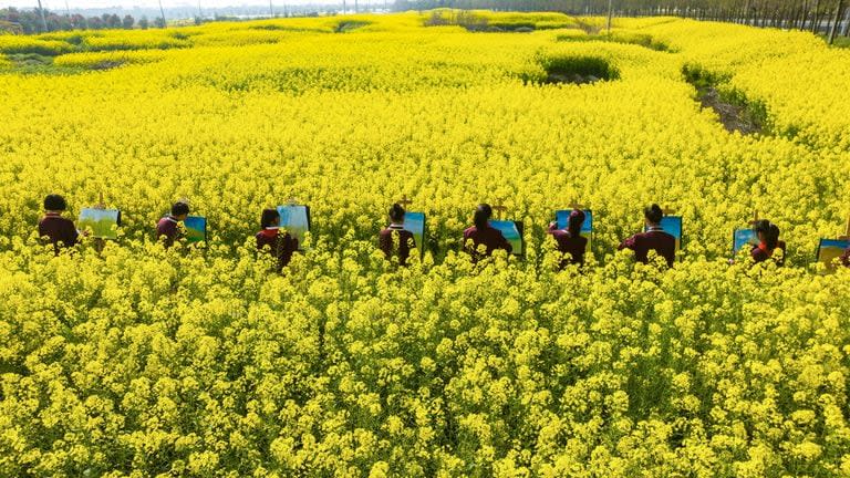 Estudiantes hacen dibujos entre las flores de colza en Haian, ciudad de Nantong, en la provincia de Jiangsu, al este de China, el 28 de marzo de 2023