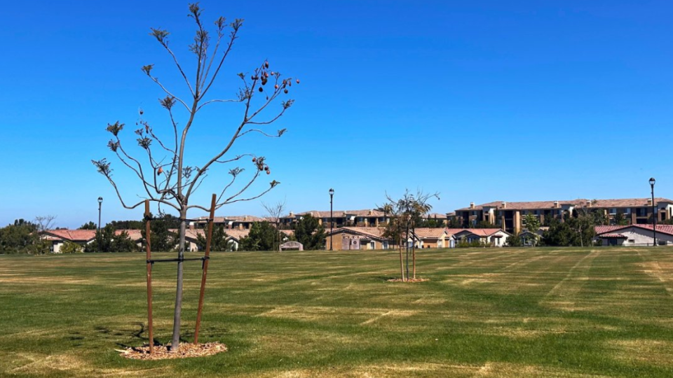 The Riviera Del Sol neighborhood park is set to open this summer. (City of San Diego)