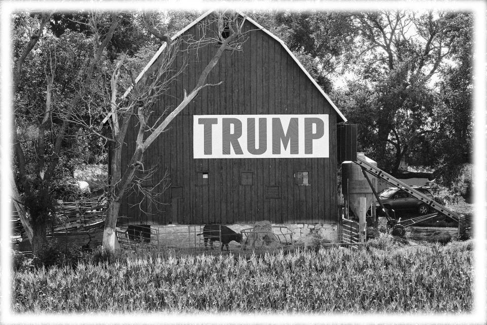 Corn grows in front of a barn carrying a large Trump sign in rural Ashland, Neb., in 2018.  (Photo: Nati Harnik/AP)