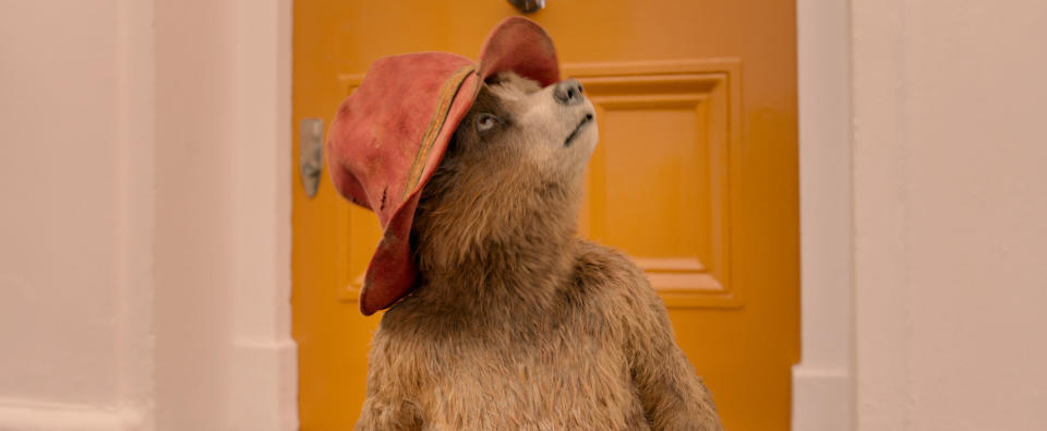 Paddington Bear looks upward