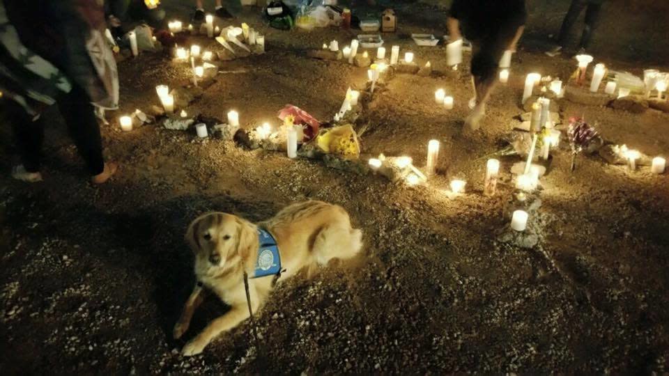 A comfort dog named Ruthie at a candlelit vigil following a mass shooting in Las Vegas. (Photo: LCC K-9 Comfort Dogs)