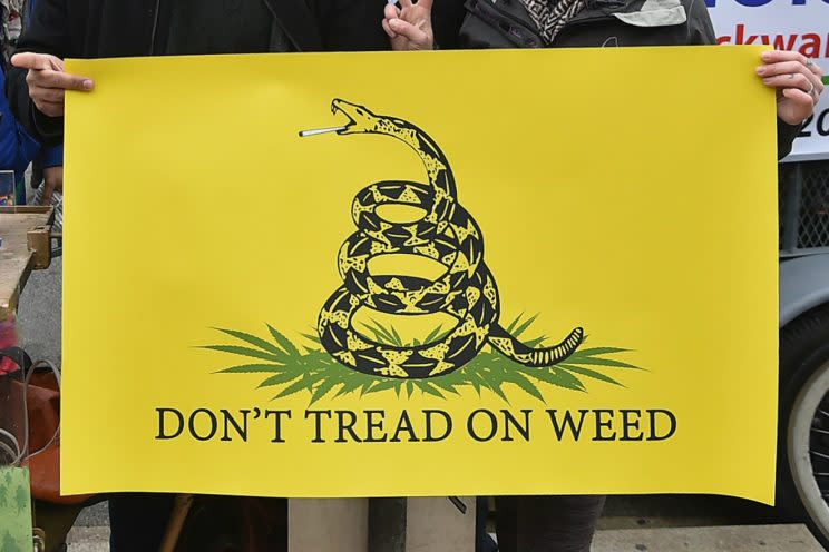 Activists hold up a flag at a pro-marijuana rally during President Trump's inauguration