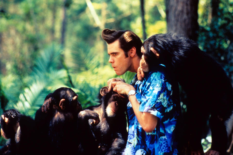 Released in 1994, Ace Ventura: Pet Detective starred Jim Carrey and veritable menagerie of furred, feathered, and finned creatures. (Alamy)