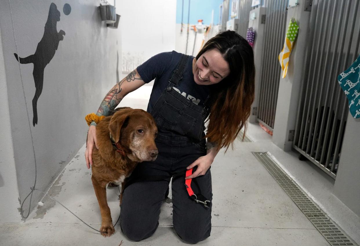 Bruiser leans in to get a little love from Beth Nassef, director of operations at the Providence Animal Rescue League, which is among the animal-welfare agencies that received a total of $550,000 in grants from the Rhode Island Foundation.