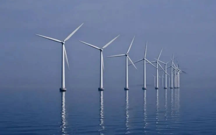 The renewable energy infrastructure investment trust sector has fallen over 20 per cent over the last year.