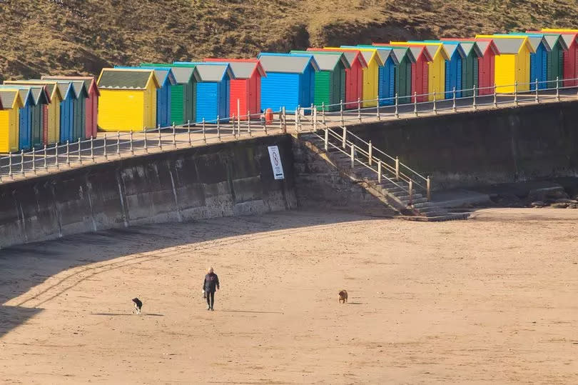 A person enjoys the sun as she walks dogs along Whitby Beach in Yorkshire