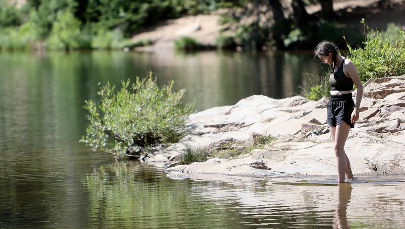 Quinn Mitchell wades in Bloods Lake in Wasatch County on Thursday, July 25, 2024.