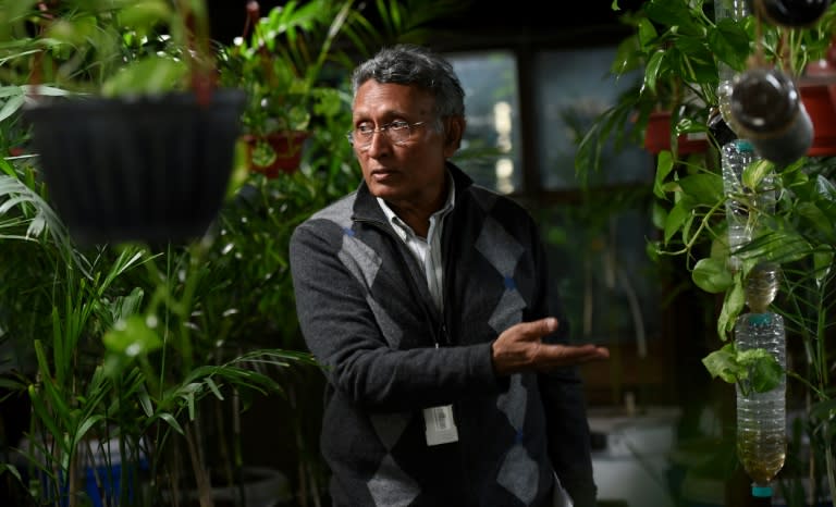 Indian environmentalist Kamal Meattle ignored doctors' advice to move away from the polluted capital Delhi for his health and instead created a greenhouse at his office