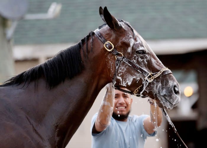 Stables prepare for the Kentucky Derby at Churchill Downs