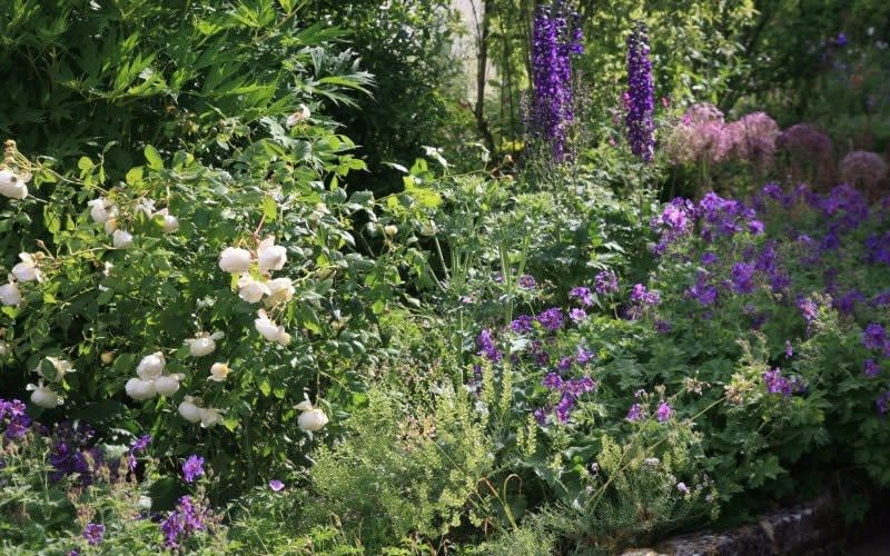 best open gardens to visit this weekend uk 2022 family day trip out - NGS