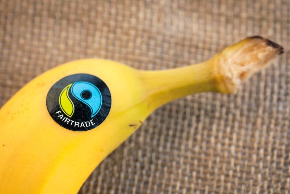 Banana with Fairtrade produce sticker on the peel.
