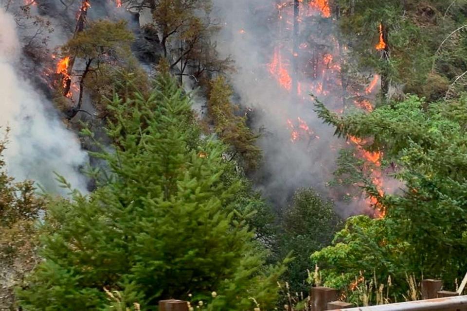 PHOTO: In this photo provided by Caltrans, the Smith River Complex Fire burns in Gasquet, Calif., Aug. 16, 2023. (AP)