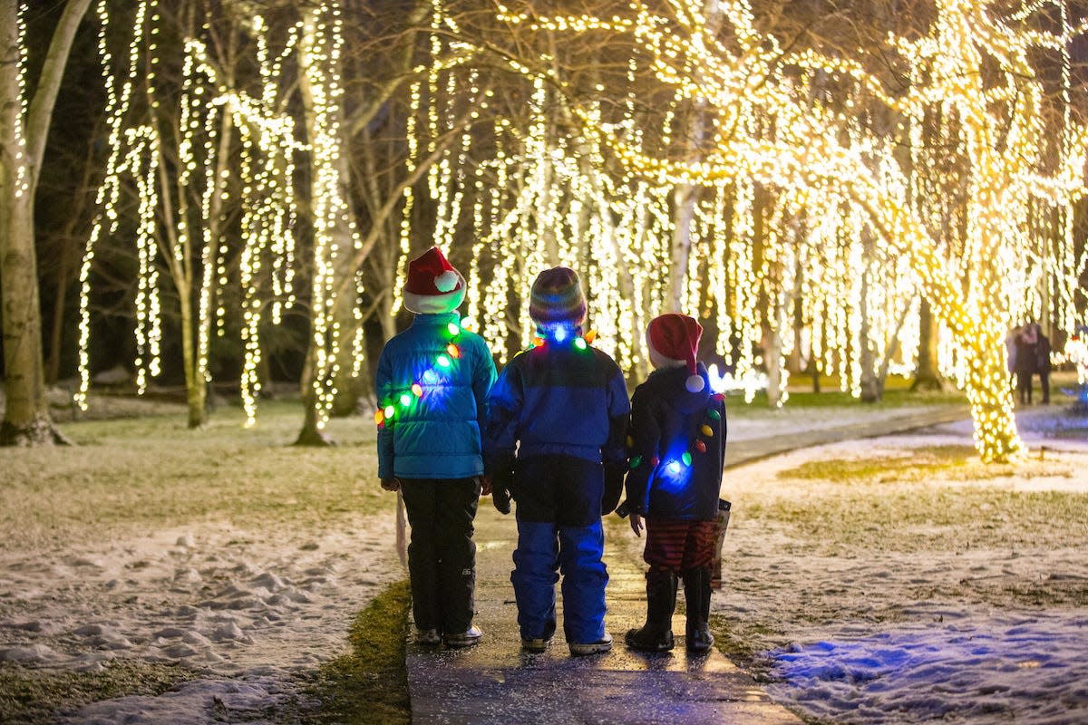 Illuminated trees at the Ford House in Grosse Pointe Shores.