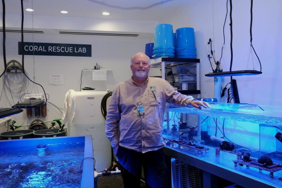 Animal husbandry manager Greg Whittaker stands beside coral water tables at Moody Gardens Coral Rescue Lab on Friday, Feb. 9, 2024, in Galveston, Texas. "Our shift to housing Flower Gardens Marine Sanctuary corals from the Florida reef project enables us to engage more intimately with a nearby reef system," said Whittaker. "We have corals here to regularly educate our guests about issues and collaborate directly with the research community to identify problems and solutions."