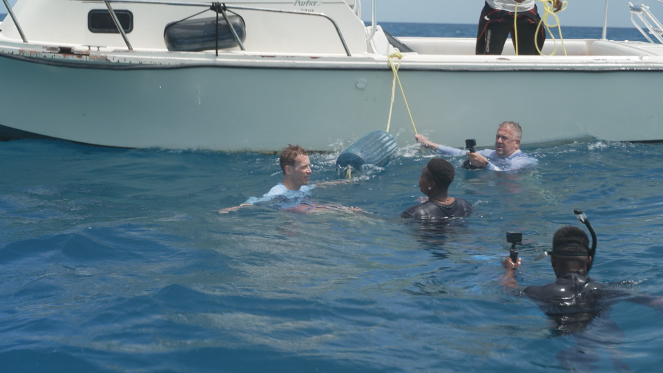 CBS News climate producer Chris Spinder gets into the water with sharks in the Bahamas. / Credit: CBS News