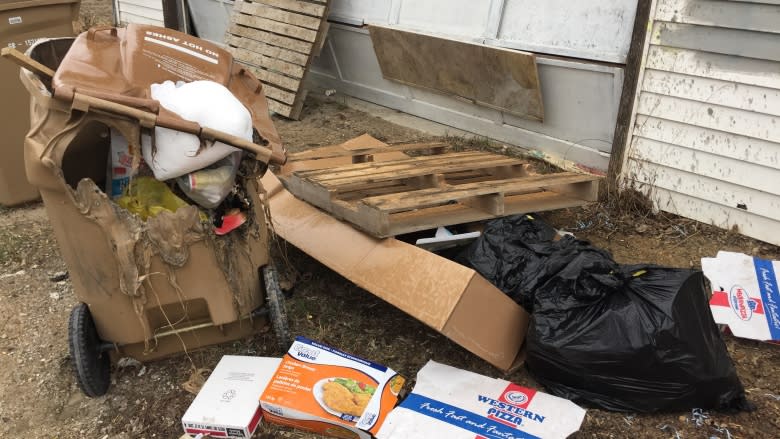 Young offenders work to clear up junk from Regina alleys