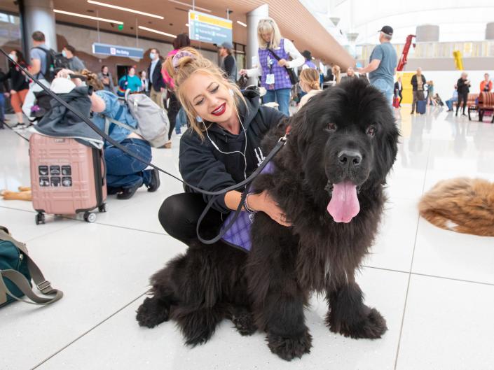There are also award winning show dogs including Dalmations and Newfoundlands.