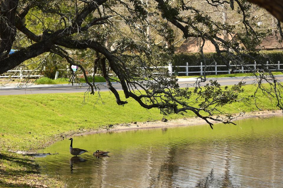 Sloop Point Road in Hampstead Wednesday March 13, 2024. KEN BLEVINS/STARNEWS