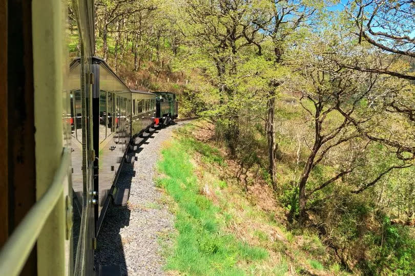 A view from Rheidol Railway