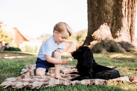 Britain's Prince George is seen with the family pet dog, Lupo, in this photograph taken in mid-July at his home in Norfolk and released by Kensington Palace to mark his third birthday, in London, Britain July 22, 2016. Matt Porteous/Duke and Duchess of Cambridge/Handout via REUTERS