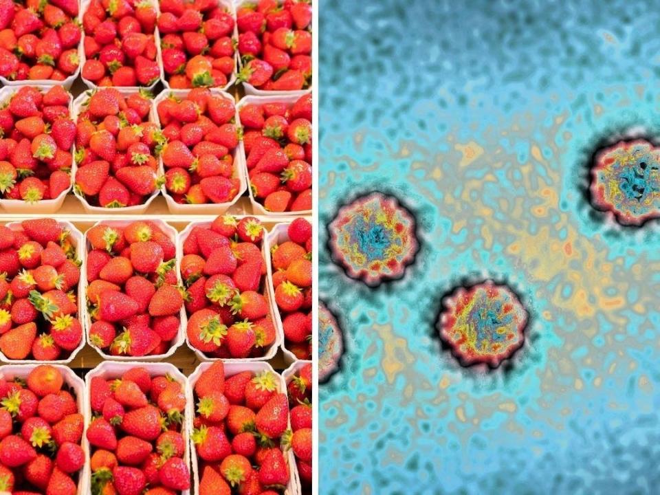 Strawberries have been linked to an outbreak of hepatitis A — here's