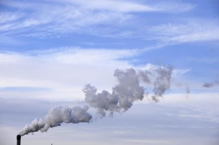 A chimney is seen at an industrial site on Teesside, northern England February 8,2009. REUTERS/Nigel Roddis