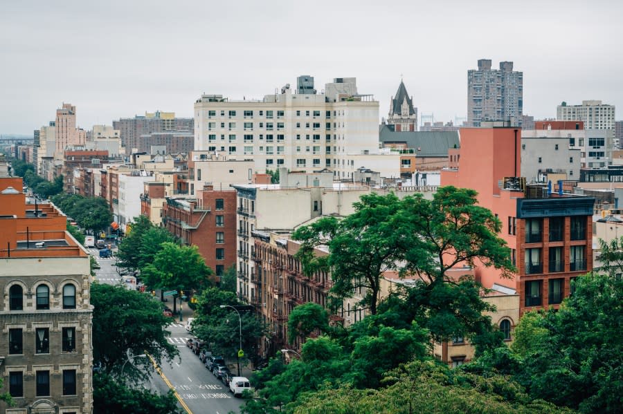 View of Harlem from Morningside Heights, in Manhattan, New York City. (Photo Credit: Adobe Stock)
