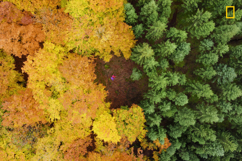 <p>“My daughter and her best friend on their backs in a clearing, just between planted fir forest and natural beech forest.” (<a rel="nofollow noopener" href="http://yourshot.nationalgeographic.com/profile/100141/" target="_blank" data-ylk="slk:Anders Andersson;elm:context_link;itc:0;sec:content-canvas" class="link ">Anders Andersson</a> / National Geographic Nature Photographer of the Year contest) </p>