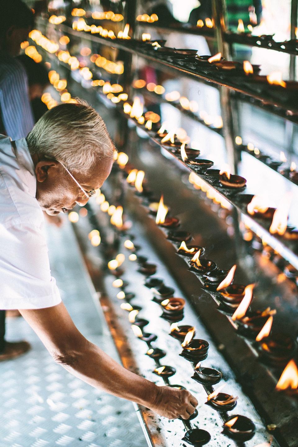 Learn about the origins of Sri Lanka's tea industry, and where it's going next, from the the hilltop town of Kandy to the forests of Hatton and the urban adventure of Colombo.