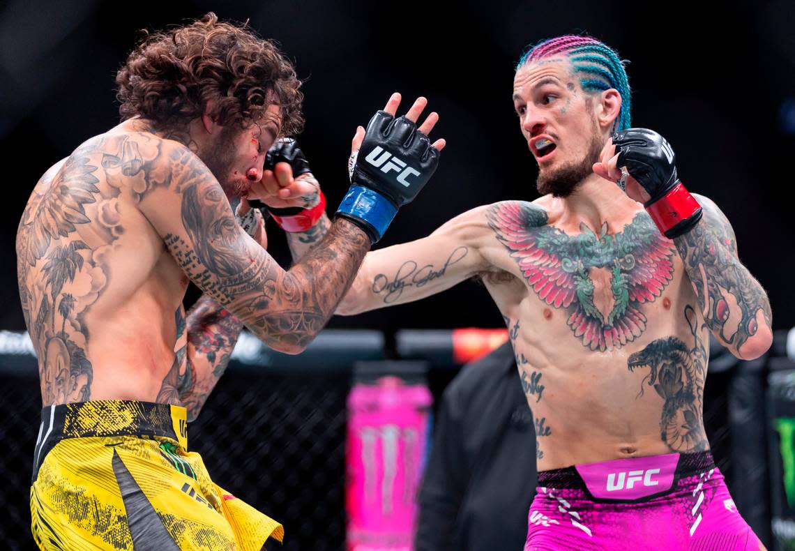 Sean O’Malley of the United States fights against Marlon Vera of Ecuador during their bantamweight title match during the UFC 299 event at the Kaseya Center on Saturday, March 9, 2024, in downtown Miami, Fla.