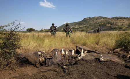 Members of the Pilanesberg National Park Anti-Poaching Unit (APU) stand guard as conservationists and police investigate the scene of a rhino poaching incident in South Africa's North West Province, in this file picture taken April 19, 2012. REUTERS/Mike Hutchings/Files