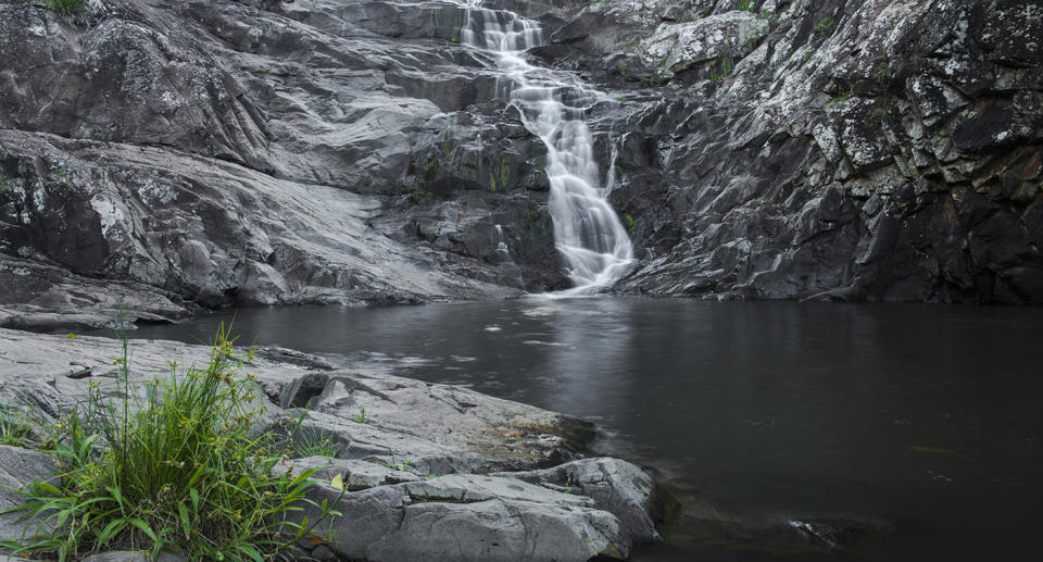 Cedar Creek waterfall in Mount Tambourine, Queensland.