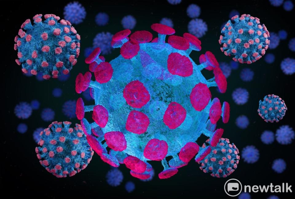 近期一種名為「 JN.1 」的新冠變異株在全球 12 個國家被發現，英國和美國衛生機構聲稱，該變異株是當前已知的增長最快的新冠變異株，可能引發新一輪新冠感染浪潮，圖為病毒示意圖。   圖：新頭殼資料庫