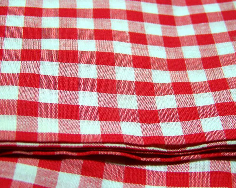 Vintage 60s Gingham Fabric